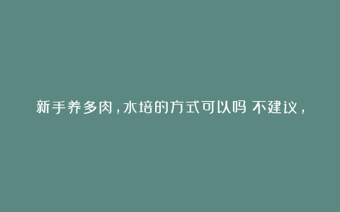 新手养多肉,水培的方式可以吗?不建议,失去了养护意义