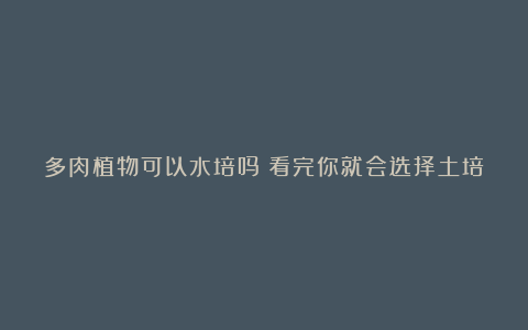 多肉植物可以水培吗?看完你就会选择土培!