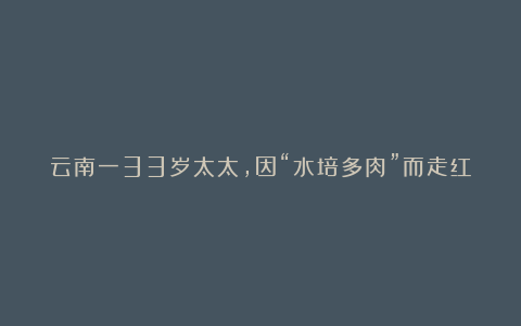 云南一33岁太太,因“水培多肉”而走红,妥妥视觉盛宴,真有创意