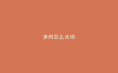 多肉怎么水培