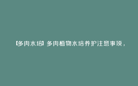 【多肉水培】多肉植物水培养护注意事项,悬根不入水长势更好