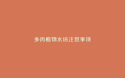 多肉植物水培注意事项