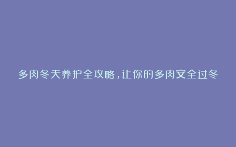 多肉冬天养护全攻略,让你的多肉安全过冬!
