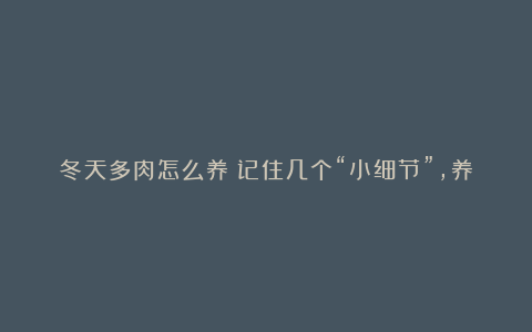 冬天多肉怎么养?记住几个“小细节”,养出状态很简单