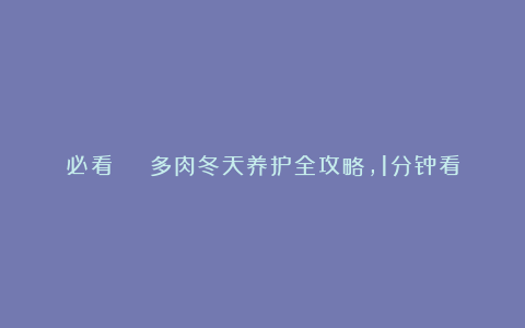 必看 | 多肉冬天养护全攻略,1分钟看完,保证多肉越冬零伤亡!