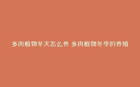 多肉植物冬天怎么养?多肉植物冬季的养殖方法和注意事项
