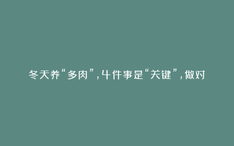 冬天养“多肉”,4件事是“关键”,做对了,肥嘟嘟颜色艳丽