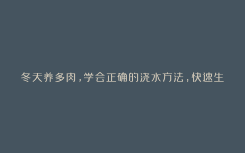冬天养多肉,学会正确的浇水方法,快速生长,猛爆侧芽