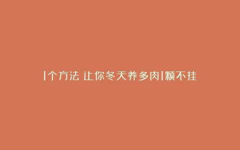 1个方法!让你冬天养多肉1颗不挂!