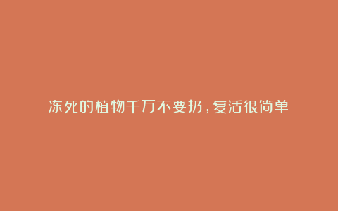 冻死的植物千万不要扔,复活很简单!
