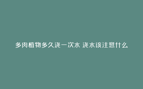 多肉植物多久浇一次水?浇水该注意什么?
