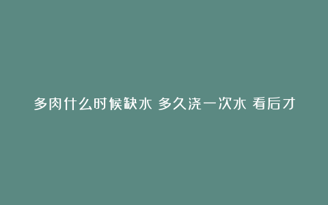 多肉什么时候缺水?多久浇一次水?看后才知道,不再化水!