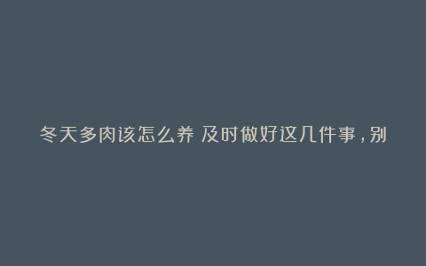 冬天多肉该怎么养?及时做好这几件事,别让植株化成水