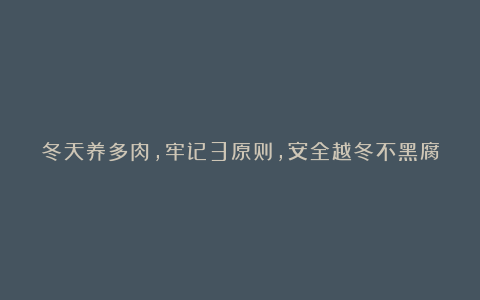 冬天养多肉,牢记3原则,安全越冬不黑腐,肥嘟嘟又矮壮