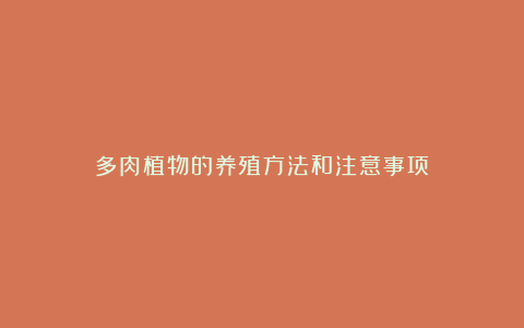 多肉植物的养殖方法和注意事项