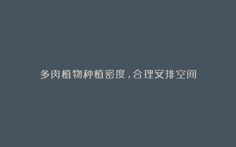 多肉植物种植密度,合理安排空间