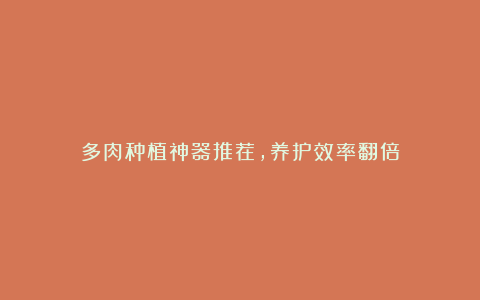 多肉种植神器推荐,养护效率翻倍