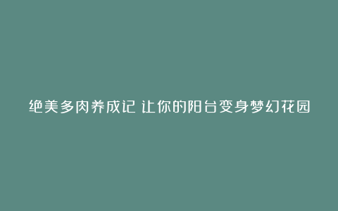 绝美多肉养成记:让你的阳台变身梦幻花园