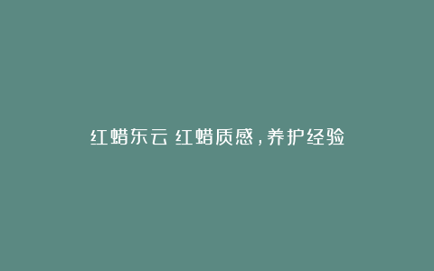 红蜡东云:红蜡质感,养护经验