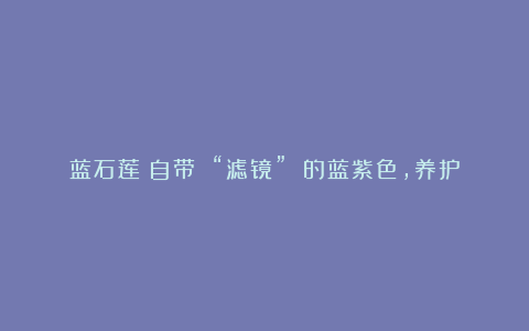 蓝石莲:自带 “滤镜” 的蓝紫色,养护技巧速看