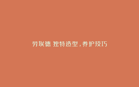 劳埃德:独特造型,养护技巧