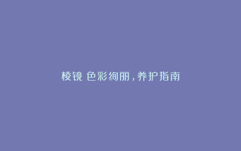 棱镜:色彩绚丽,养护指南