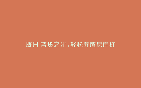 胧月:普货之光,轻松养成悬崖桩