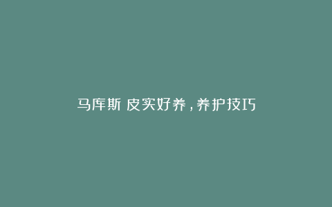 马库斯:皮实好养,养护技巧