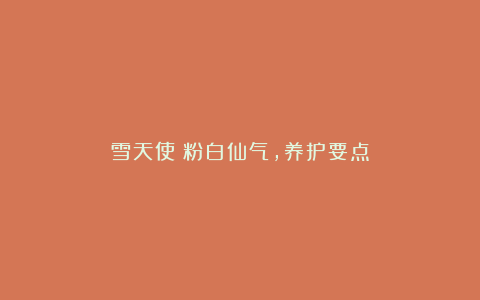 雪天使:粉白仙气,养护要点