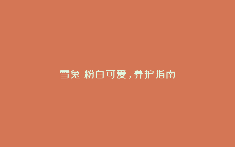 雪兔:粉白可爱,养护指南
