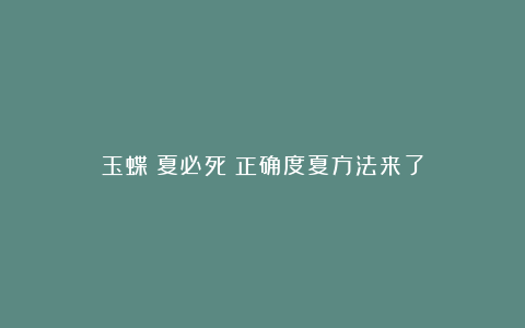 玉蝶:夏必死?正确度夏方法来了