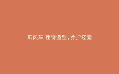 纸风车:独特造型,养护经验