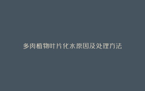 多肉植物叶片化水原因及处理方法