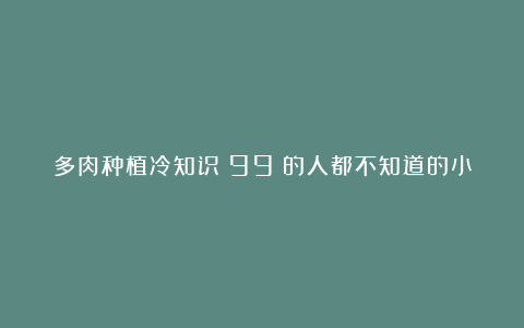 多肉种植冷知识：99%的人都不知道的小秘密