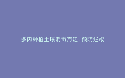 多肉种植土壤消毒方法,预防烂根