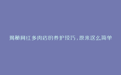 揭秘网红多肉店的养护技巧，原来这么简单