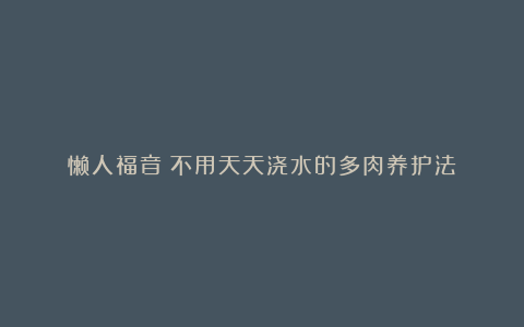 懒人福音！不用天天浇水的多肉养护法