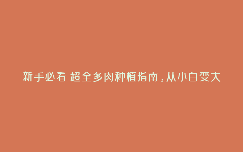 新手必看!超全多肉种植指南,从小白变大神