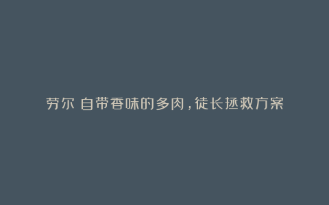 劳尔：自带香味的多肉，徒长拯救方案