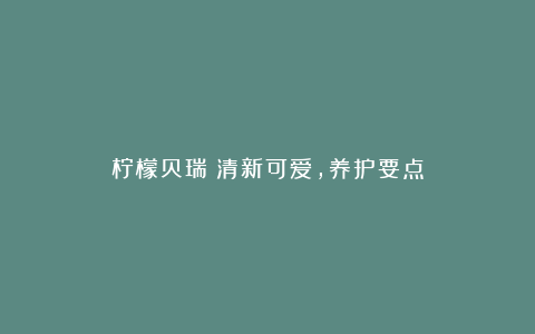 柠檬贝瑞：清新可爱，养护要点
