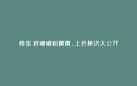 桃蛋：胖嘟嘟粉嫩嫩，上色秘诀大公开