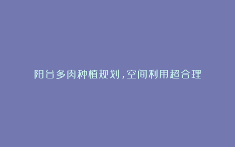 阳台多肉种植规划，空间利用超合理