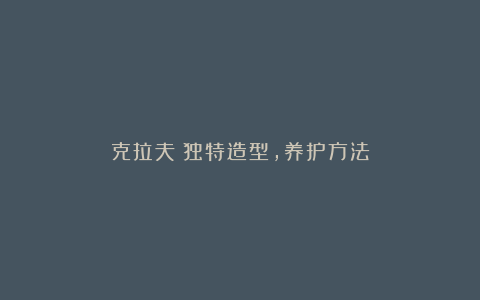 克拉夫:独特造型,养护方法