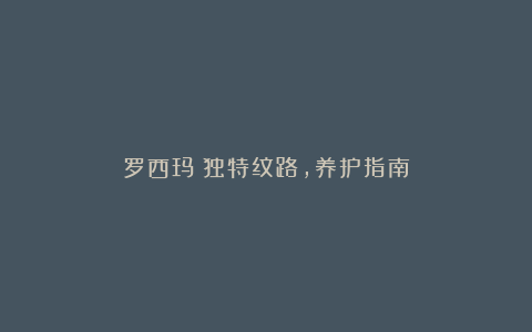罗西玛：独特纹路，养护指南