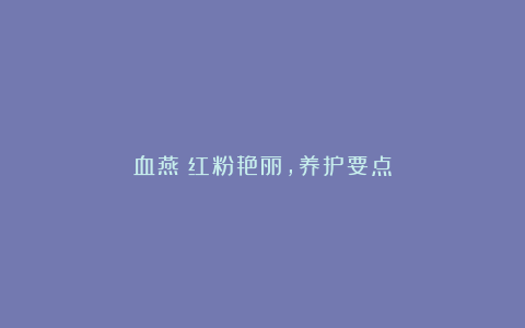 血燕:红粉艳丽,养护要点