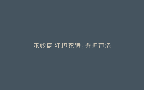 朱砂痣:红边独特,养护方法
