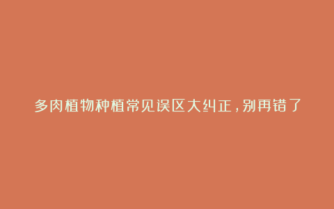 多肉植物种植常见误区大纠正,别再错了