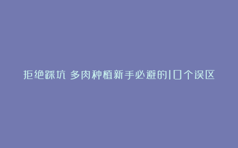 拒绝踩坑!多肉种植新手必避的10个误区