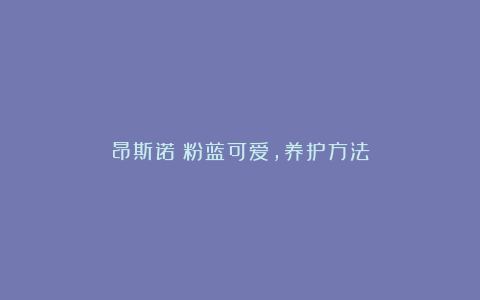 昂斯诺：粉蓝可爱，养护方法