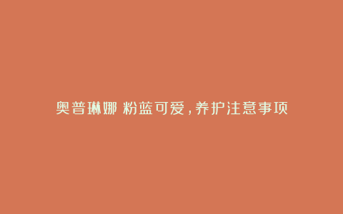 奥普琳娜：粉蓝可爱，养护注意事项
